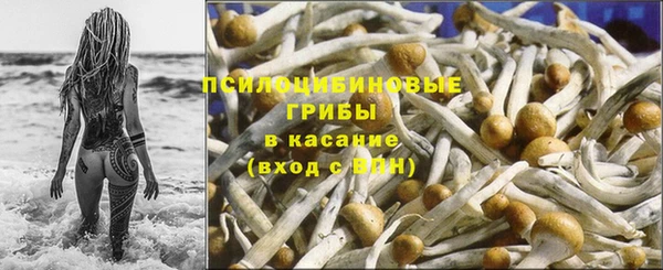 прущая мука Беломорск