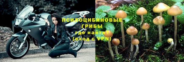 Альфа ПВП Белокуриха