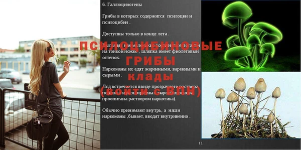 Альфа ПВП Белокуриха