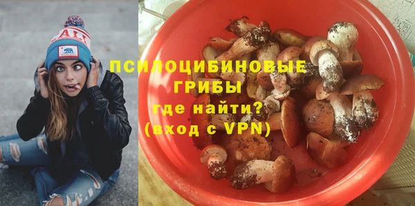 Альфа ПВП Белокуриха