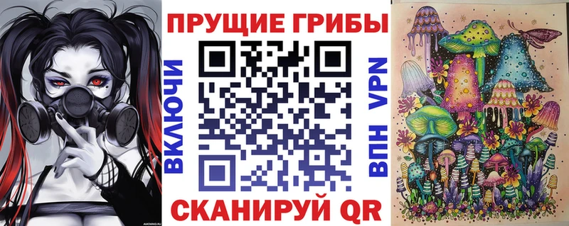 Псилоцибиновые грибы мицелий Кизел